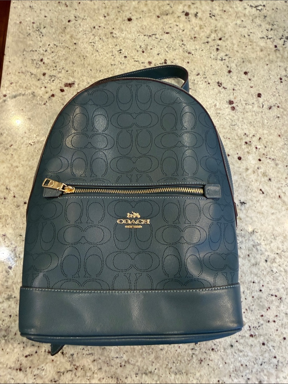 Coach Teal Signature Leather Backpack with Gold Hardware